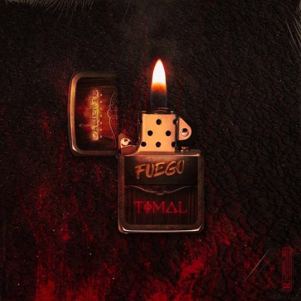 Album cover art for "Fuego" by Timal