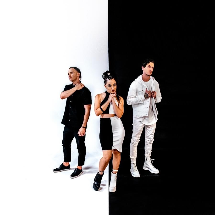 VERIDIA Profile Picture Photo of VERIDIA