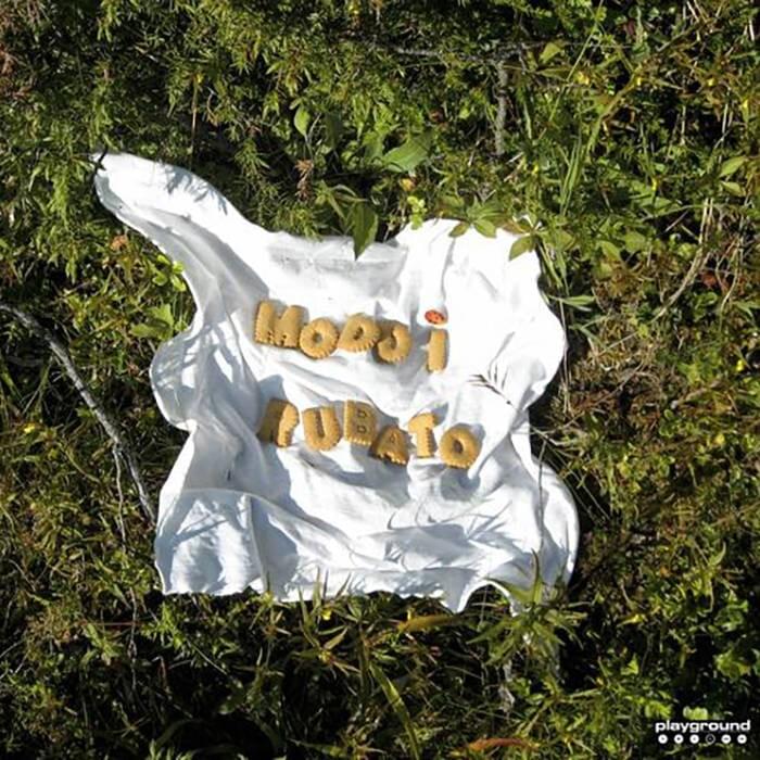 Cover image for Rubato / Favors and Fields