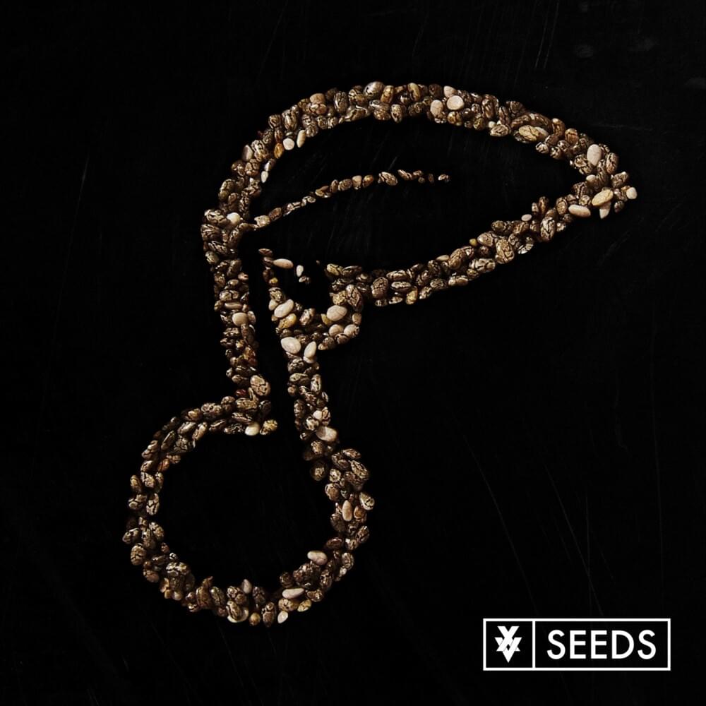 Seeds Cover Art