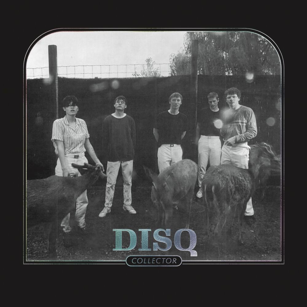 Album cover art for "Gentle" by Disq