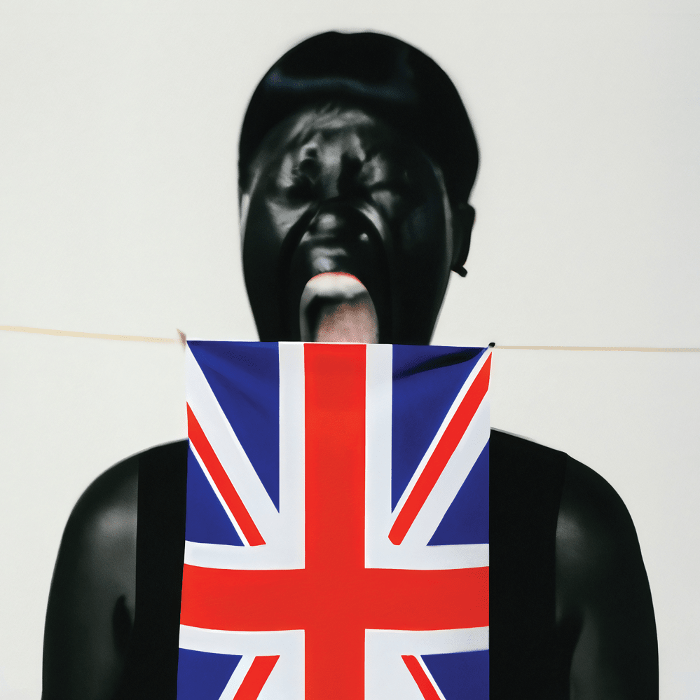 Cover image for Am I British Yet?