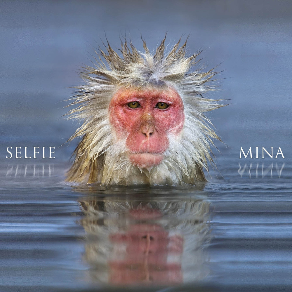 Album cover art for "La sola ballerina che tu avrai" by Mina
