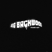 Album cover art for "Big Backwood" by Money Boy