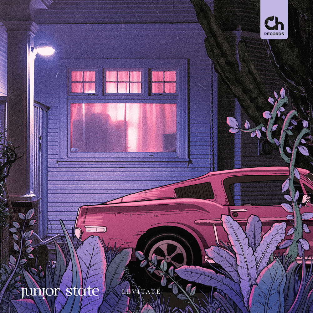 Levitate by junior state