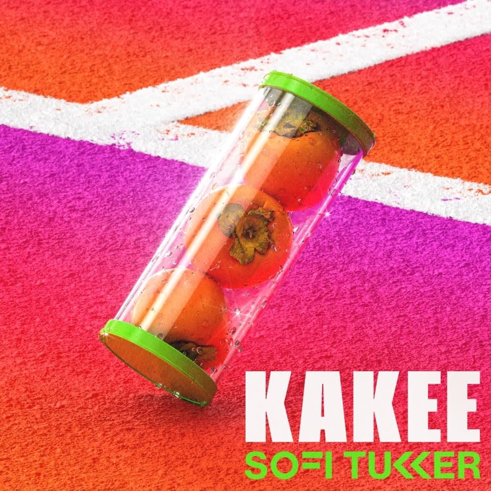 Album cover art for "Kakee" by SOFI TUKKER