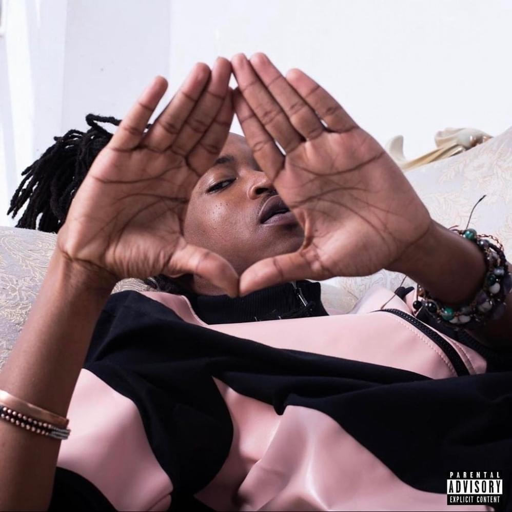 Cover image for Underground Hov