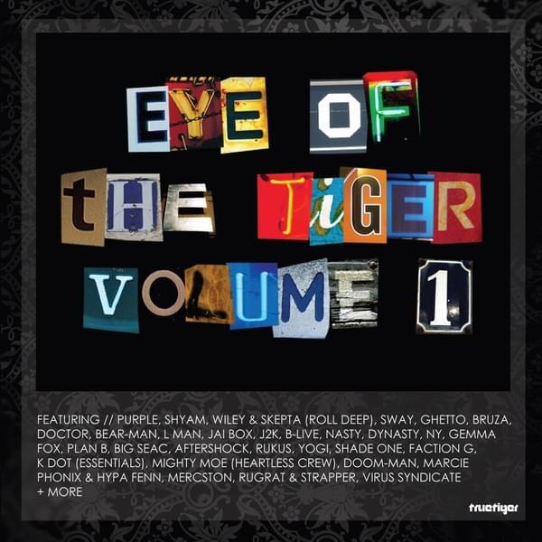Fire (Eye Of The Tiger Volume 1) by Lady Ny