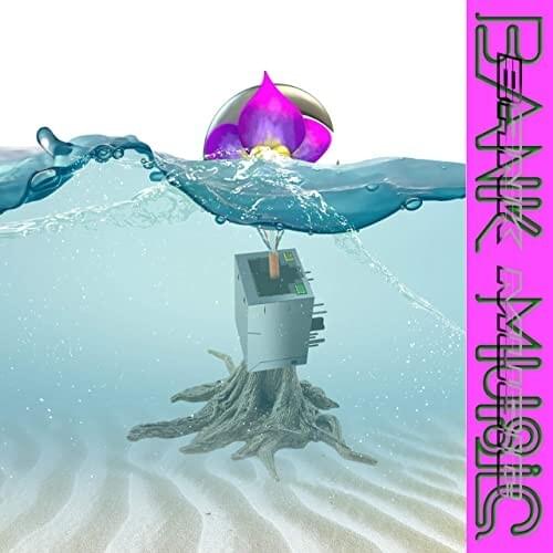 Album cover art for "Bankrool" by LL (FRA)