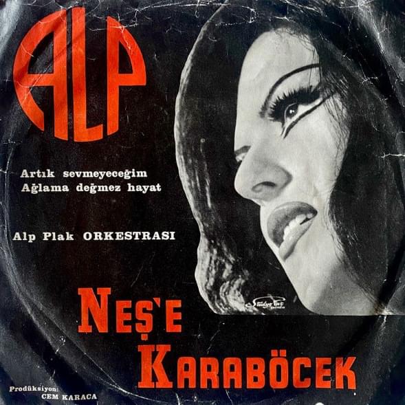 Cover image for Artık Sevmeyeceğim / Ağlama Değmez Hayat – Single