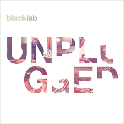 Album cover art for "Learn to Crawl" by Black Lab