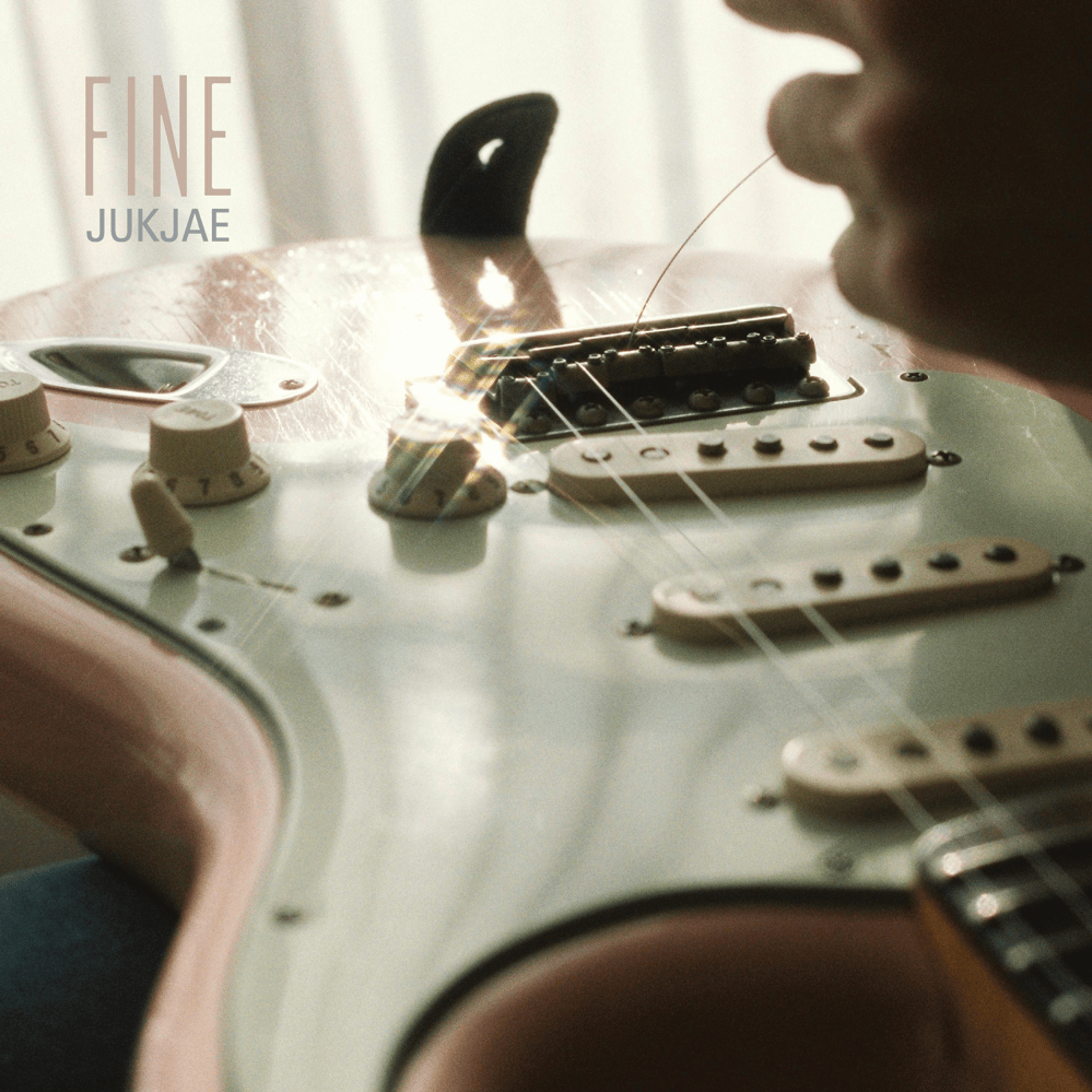 Cover image for FINE