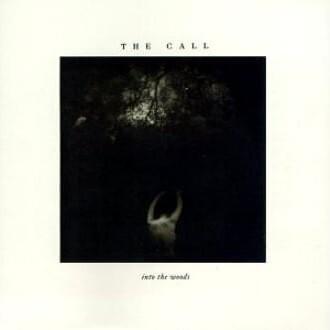 It Could Have Been Me by The Call