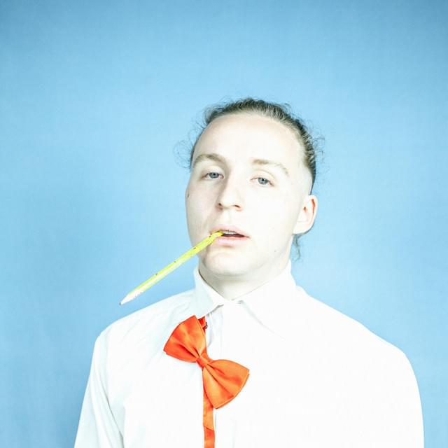 Album cover art for "Gone Stupid" by Nerve