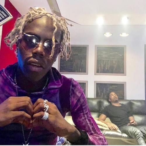 Album cover art for "Fleeky" by Yung Bans