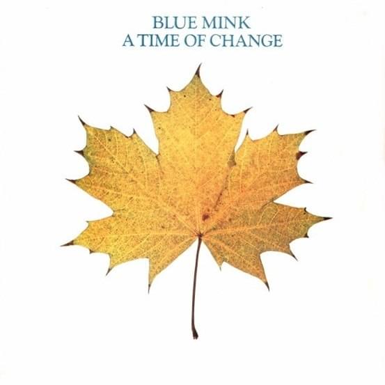 Cover image for A Time Of Change