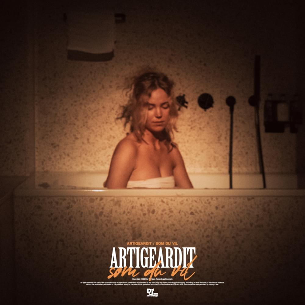 Album cover art for "Som Du Vil" by Artigeardit