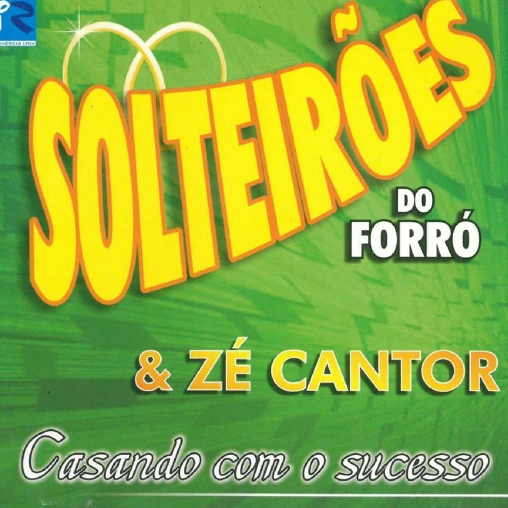 Cover image for Casando com o Sucesso, Vol. 1