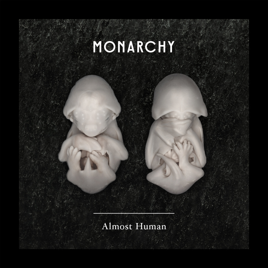 The Light by Monarchy