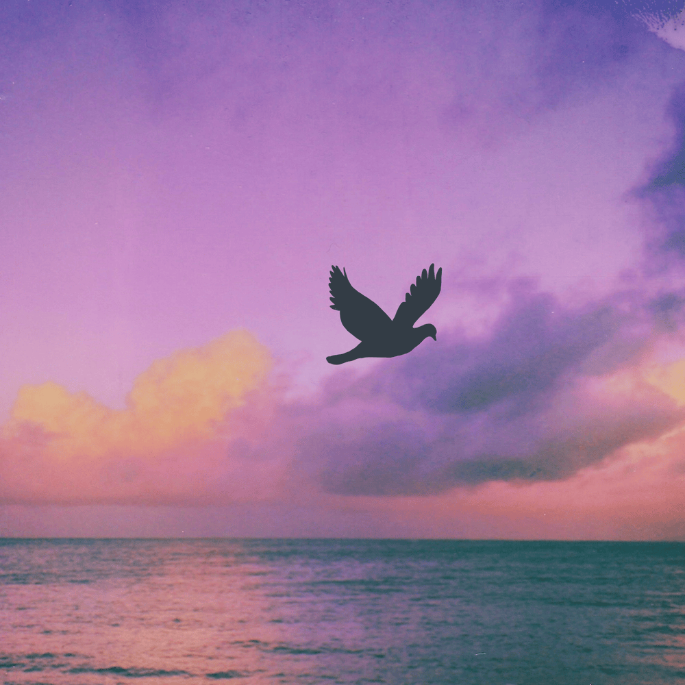 Album cover art for "Each Moment More Than the Last" by Oatmello
