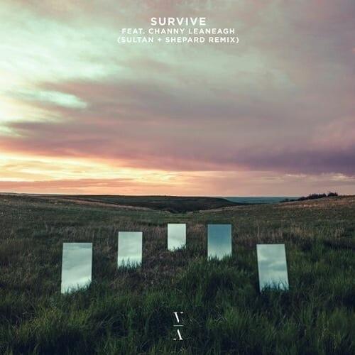 Cover image for Survive (Sultan + Shepard Remix) [feat. Channy Leaneagh]