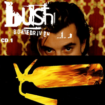Album cover art for "Bonedriven" by Bush