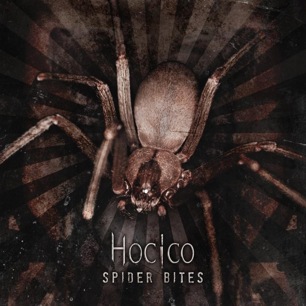 Cover image for Spider Bites
