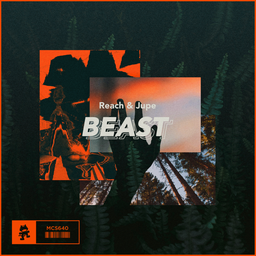 Beast by Reach (US)