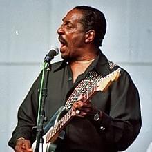 Cover image for Ike Turner