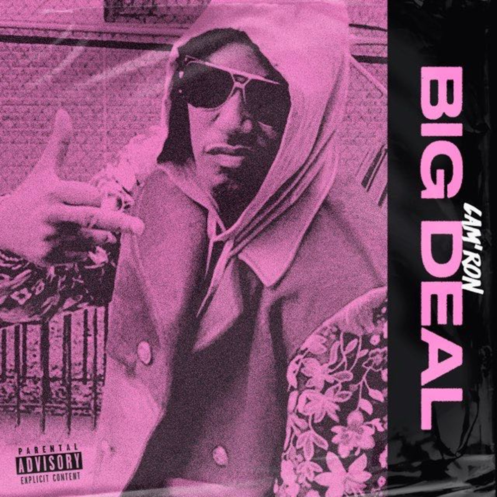 Album cover art for "Big Deal" by Cam’ron