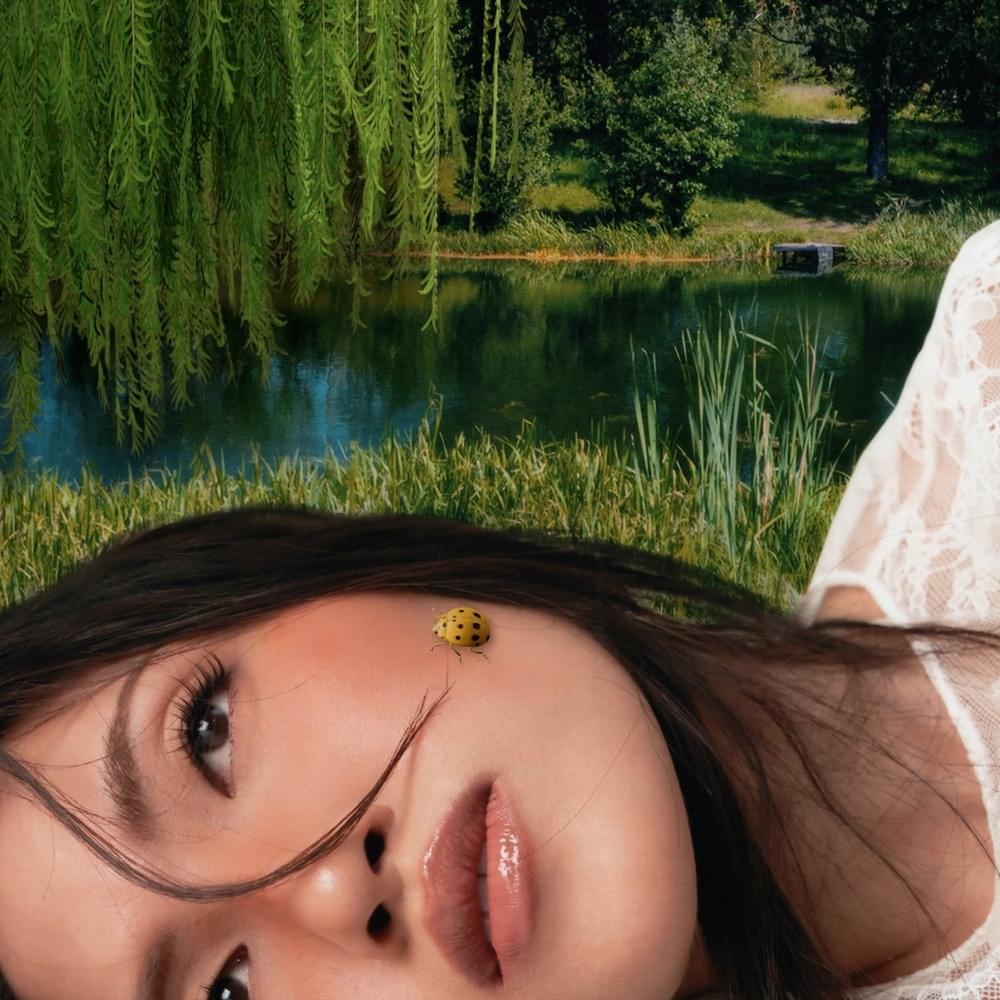 Cover image for Hồi Ức Thanh Xuân