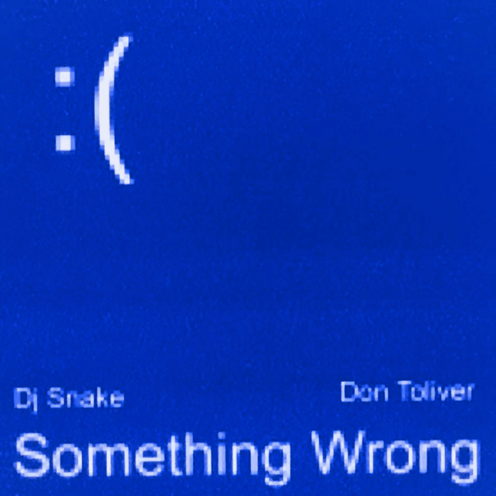 Album cover art for "Something Wrong" by DJ Snake & Don Toliver