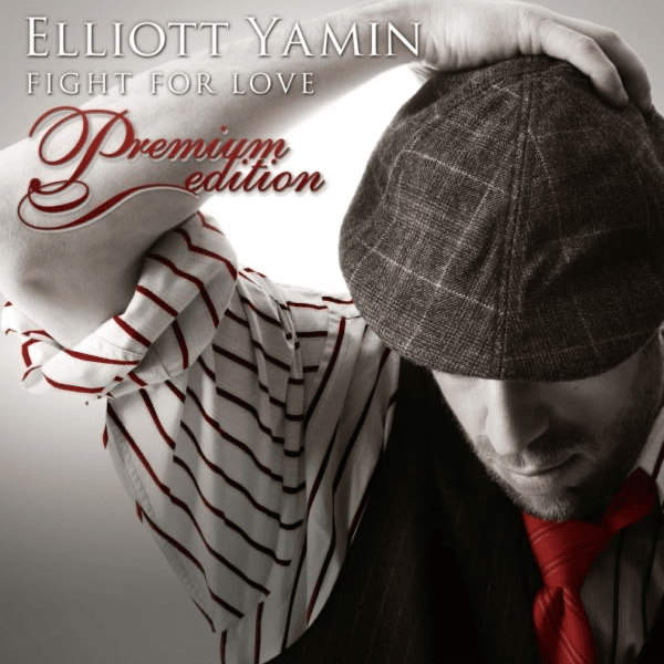 The Bridge Is Burning by Elliott Yamin
