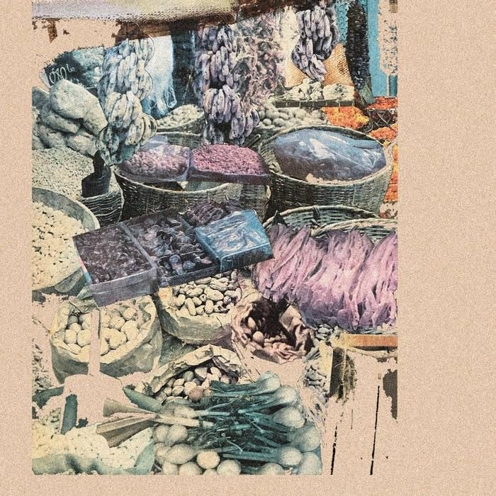 Cover image for Sun Into Flies