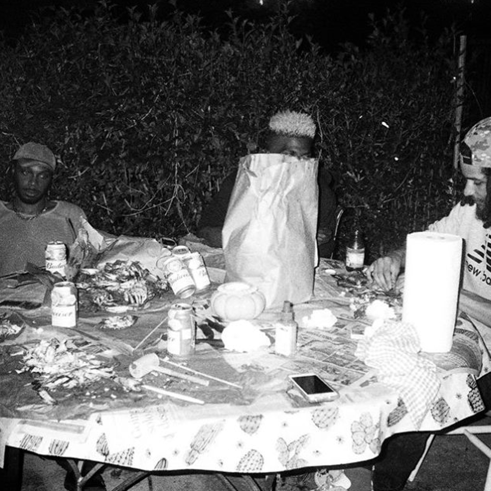 Album cover art for "THIS SONG IS A SAFE SPACE" by JPEGMAFIA & Black Sheep Refugees & FREAKYMAFIACULT