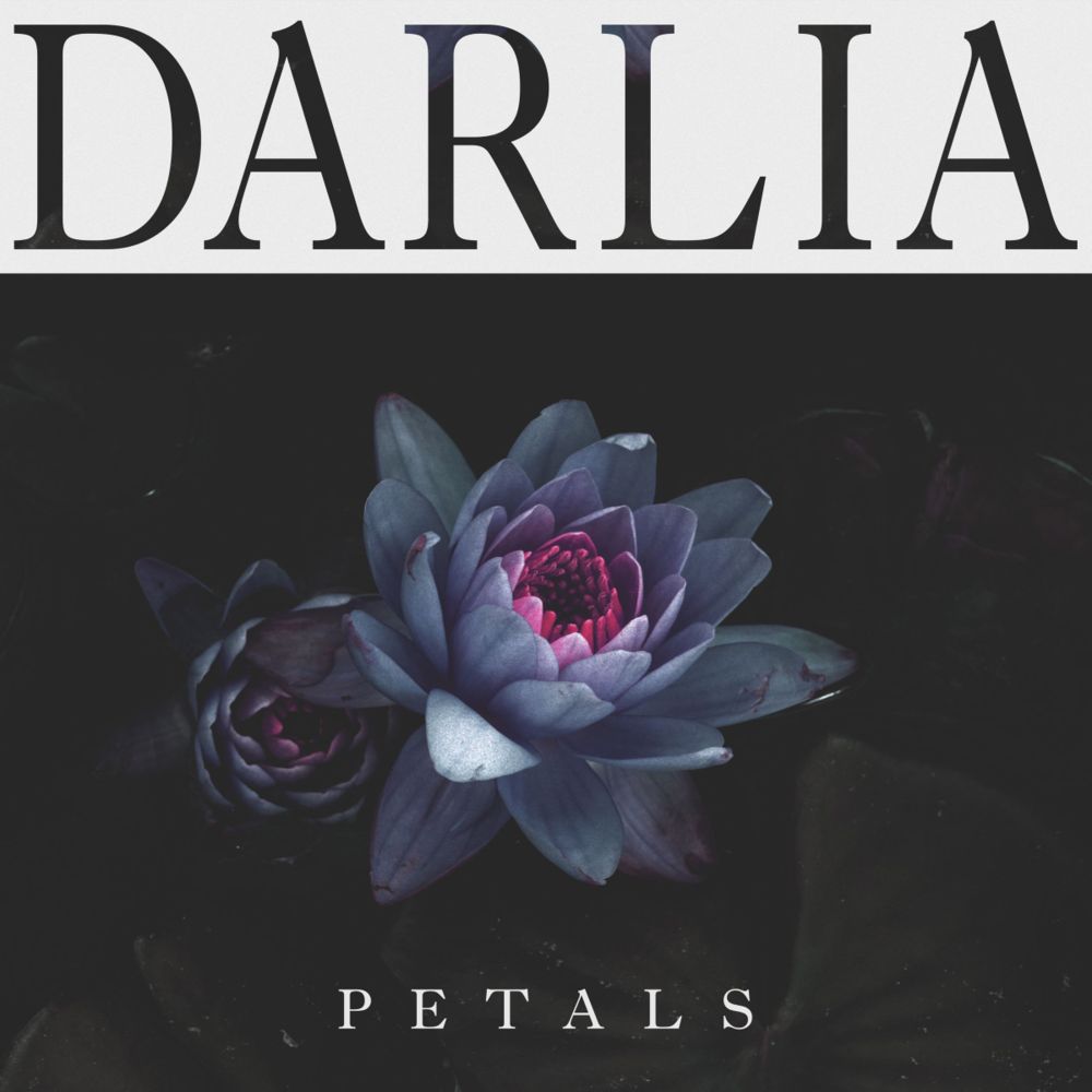 Album cover art for "Dear Diary" by Darlia