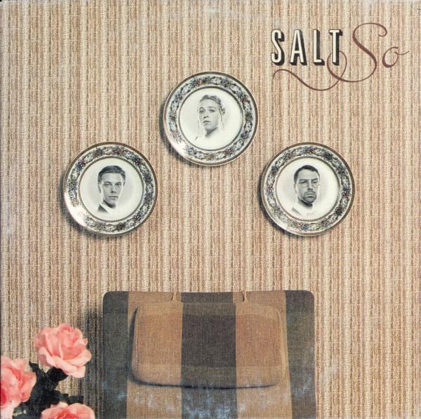 Album cover art for "So" by Salt