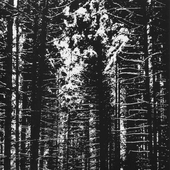 Cover image for Schlittenflug EP