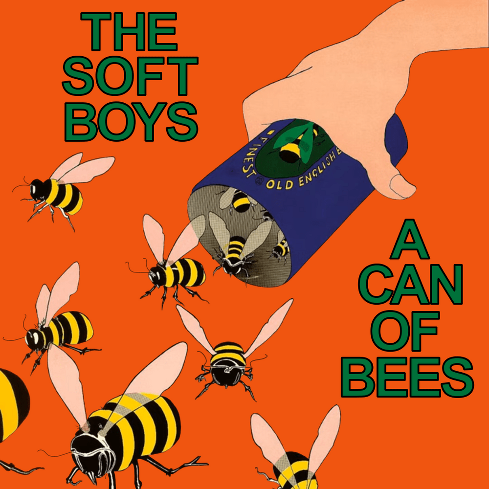 Love Poisoning by The Soft Boys