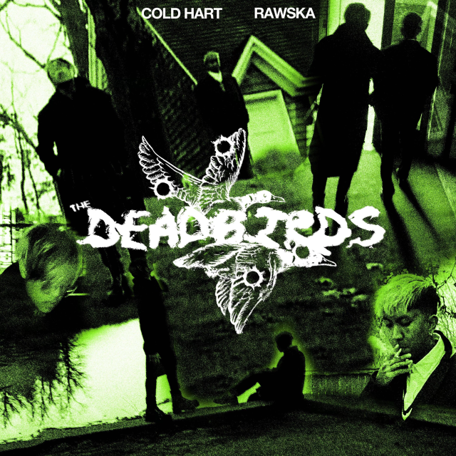 Cover image for The DEADBIRDS