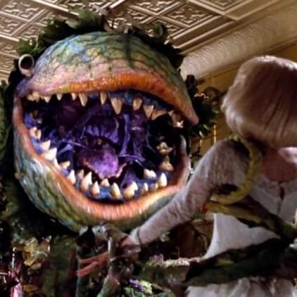 Photo of Original Motion Picture Cast of Little Shop of Horrors