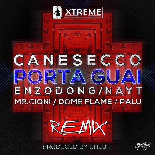 Album cover art for "PortaGuai (Remix)" by CaneSecco & nayt & Enzo Dong & Palù & Mr.Cioni & Dome Flame