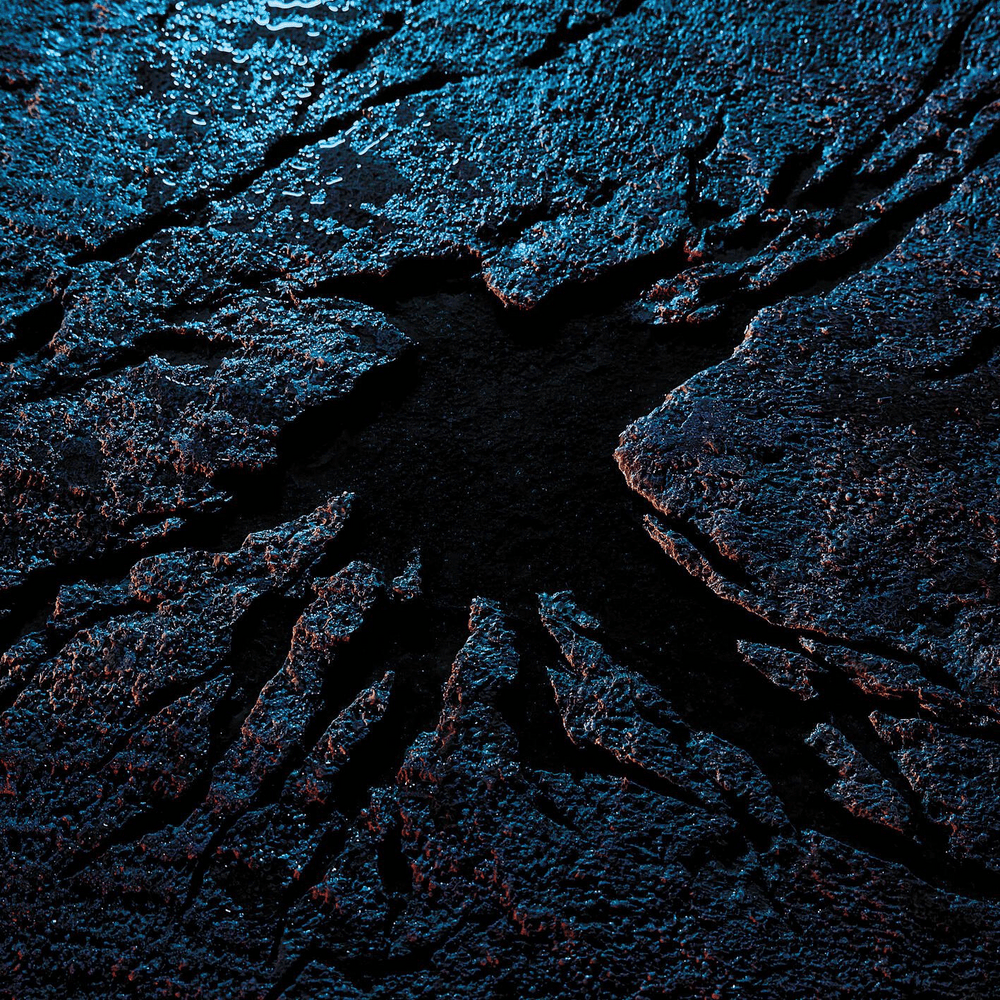 Album cover art for "Drôle d’oiseau" by ISHA