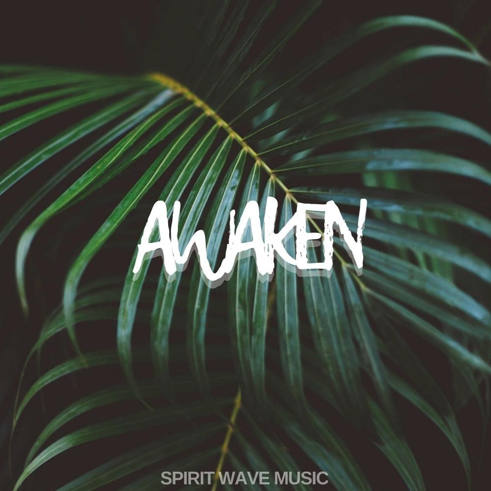 Album cover art for "Awaken" by MOLDAVITE