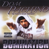 Cover image for Domination