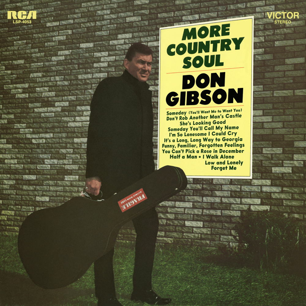 Cover image for More Country Soul