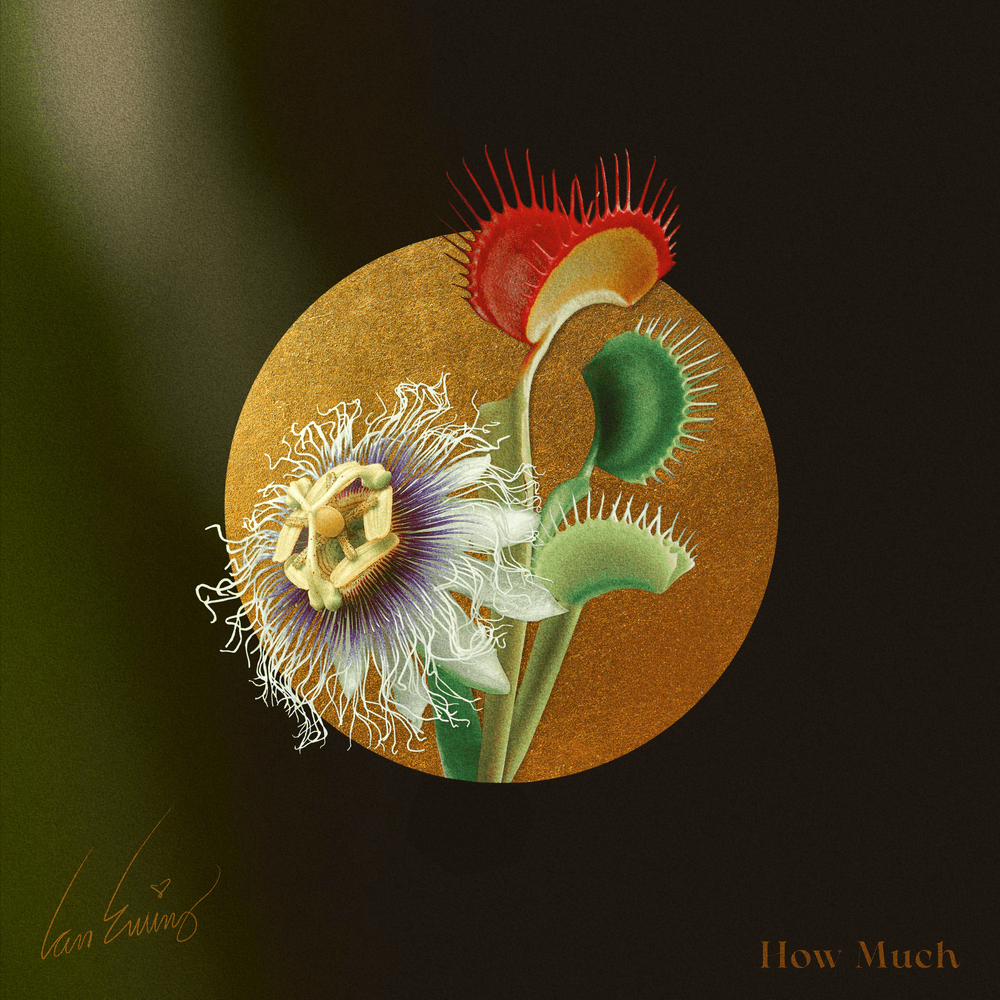 Album cover art for "How Much" by Ian Ewing