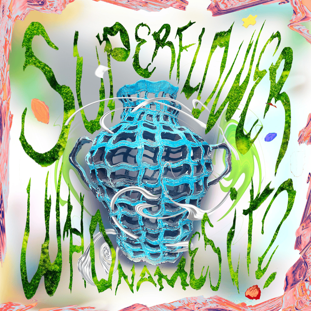 Album cover art for "Who Names It?" by Superflower