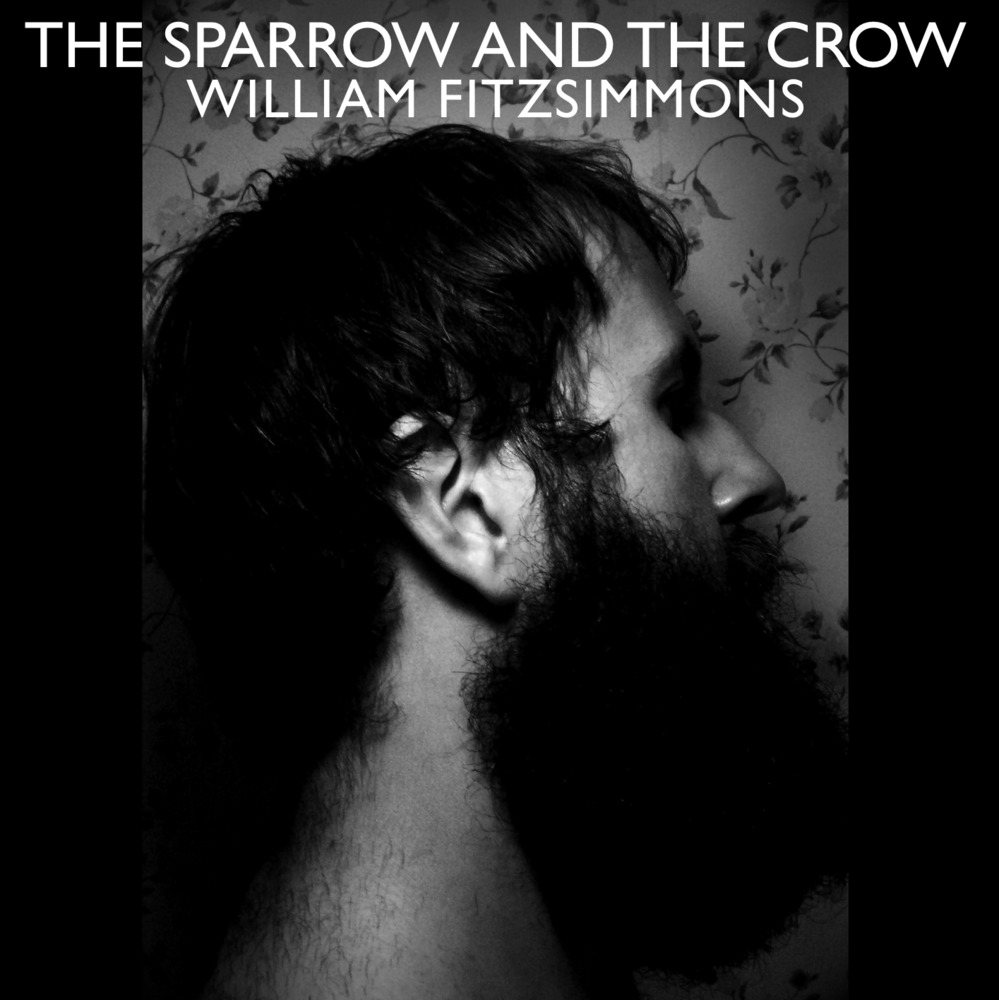 I Don’t Feel It Anymore (Song of the Sparrow) by William Fitzsimmons