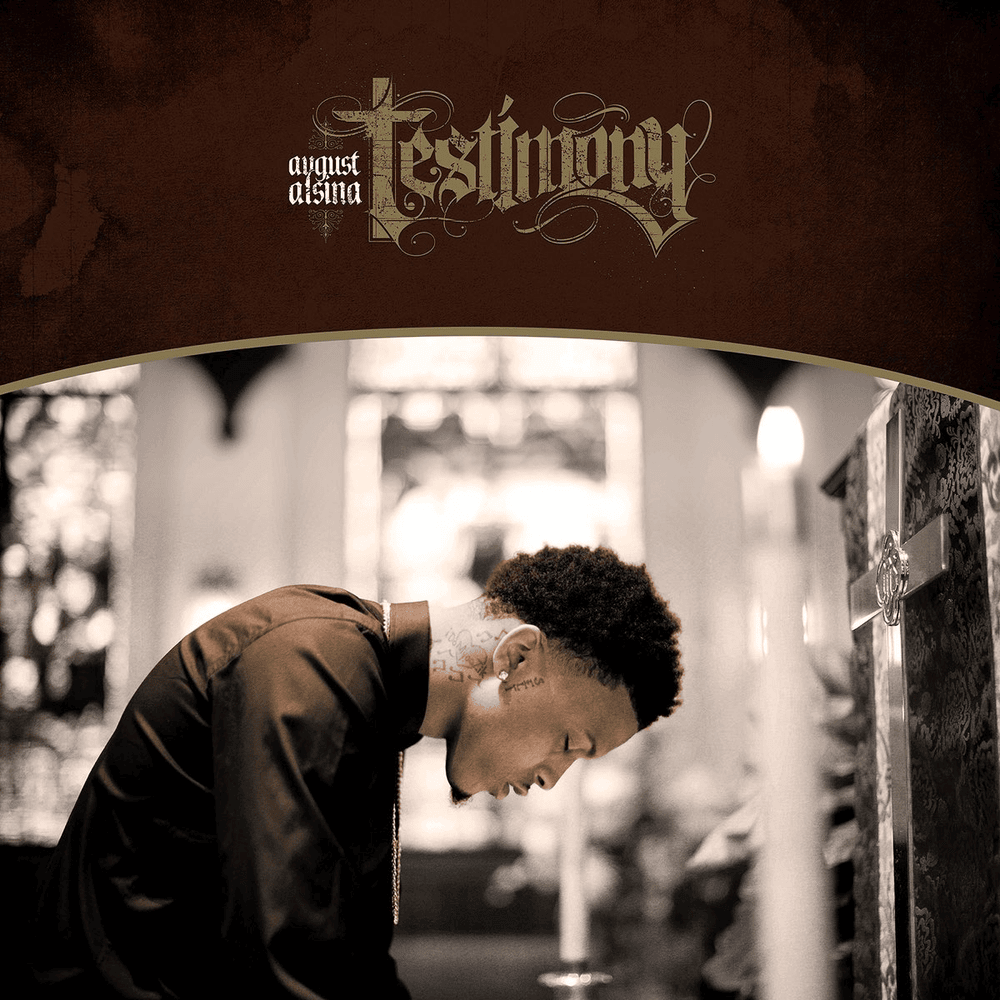 Cover image for Testimony
